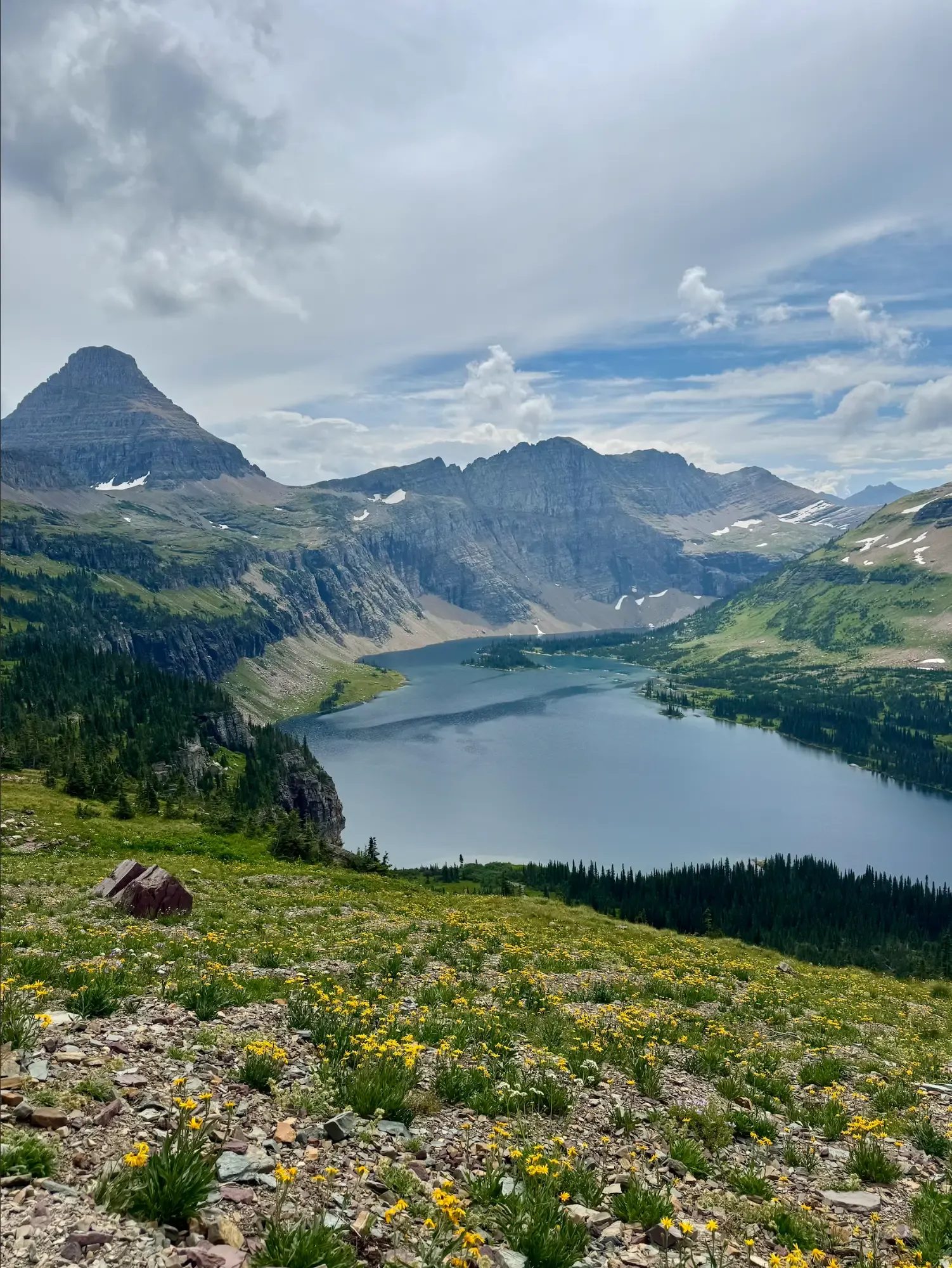 Hidden Lake below Reynolds Mountain in Glacier National Park, with alpine wildflowers in the foreground